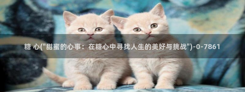 糖心vlog免费破解版