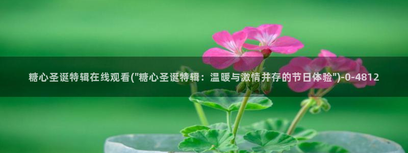 糖心vlog在线观看糖心