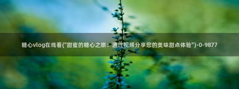 糖心vlog免费破解版下载
