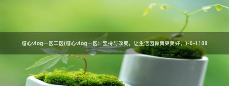 糖心vlog国产传媒入口