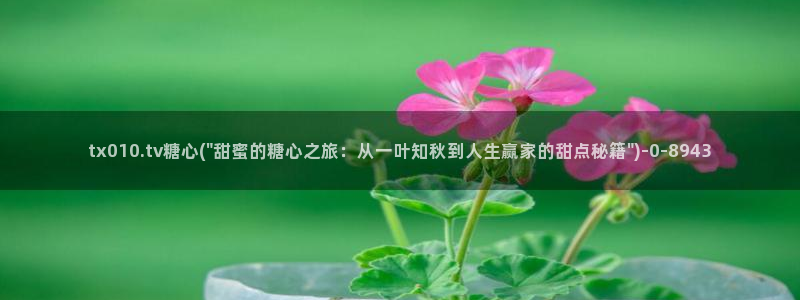 鸡教练vlog糖心