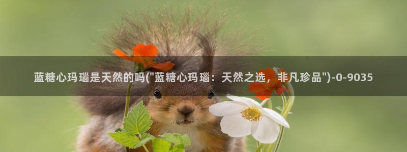 糖心vlog深夜释放自己ios